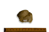 F 07343
<br/>
<br/>
<em></em>